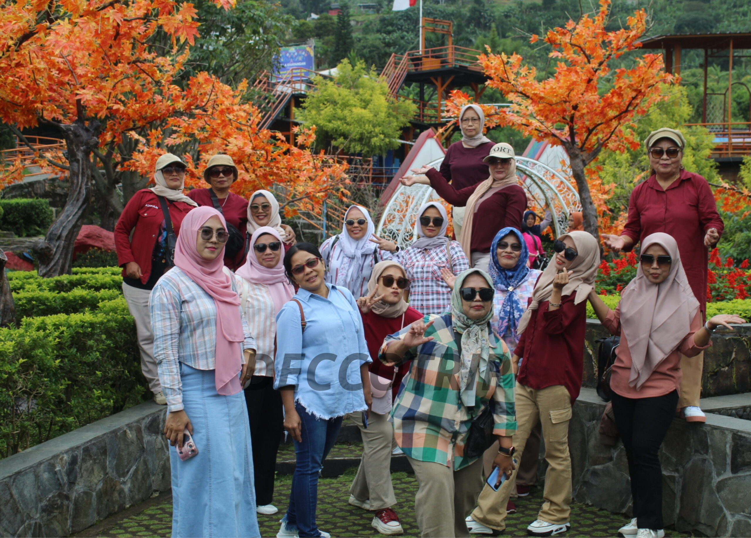 Open Trip